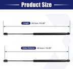 Rear Lift Supports for Ford Focus (2004-2011)