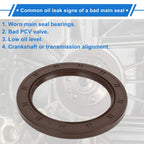 1 Pc Rear Crankshaft Oil Seal for Hyundai Elantra Ioniq (2017–2023) No. 21443-03011