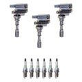 Set of 3 Ignition Coils & 6 NGK Platinum Spark Plugs for Sedona XG300 (2002–2006)