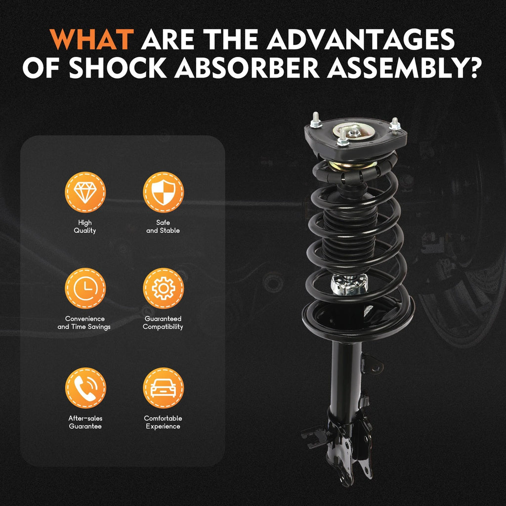 Rear Complete Struts Springs Absorbers for Hyundai Tiburon (2003-2008)