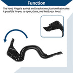 Hood Hinges Set of 2 for Hyundai Elantra (2017–2020) No. 79120F2000