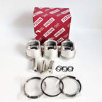 Piston Kit Ring Set for Mitsubishi ISEKI TU155F