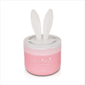 Angel Snow Scent Air Freshener for Car (Diax 90g)