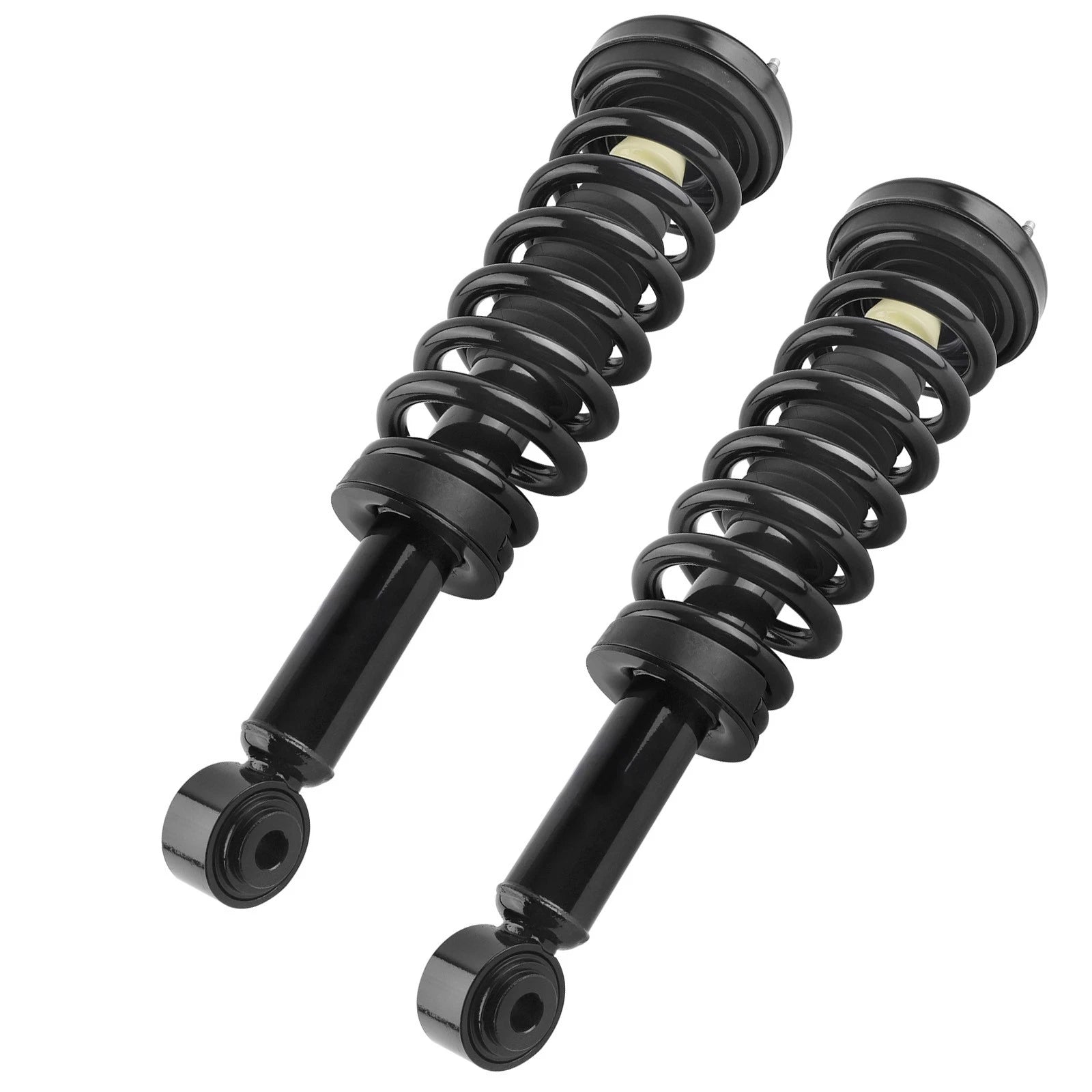 Front Complete Struts w/Coil Spring Assembly for Ford F-150 (2009–2013)