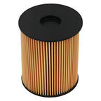 Fuel Filter for Blue Bird Dodge Hyster Thomas Volvo (1997-2016)