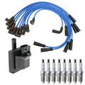 Set of 2 Ignition Coils & NGK 8 Laser Iridium Spark Plugs for P30