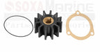 Minor Impeller Kit for Sherwood Pump (G15, G21, G30-2B, G9901, G9903)
