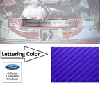 Radiator Cover Plate Replacement for Ford Mustang GT (2015–2017)