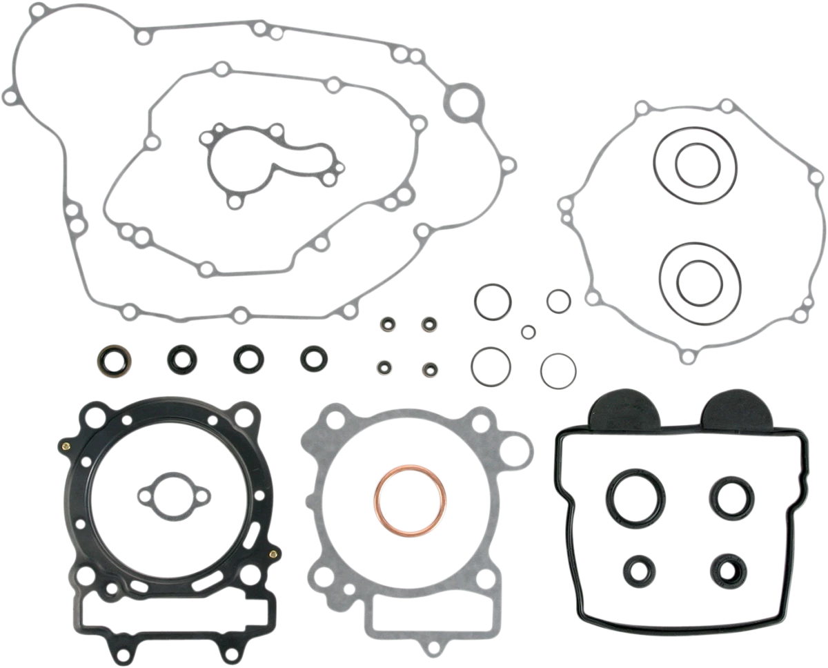 Motor Gasket Kit with Oil Seal for Kawasaki (811469mse)