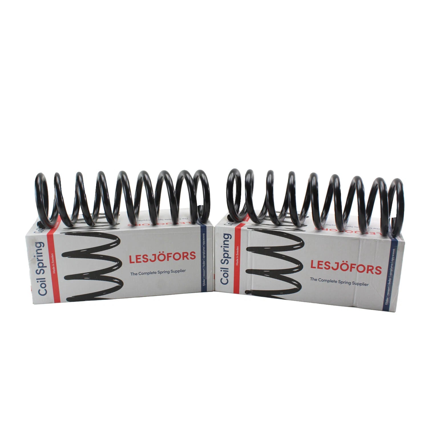 Front Coil Spring Kit for Buick (4112111)
