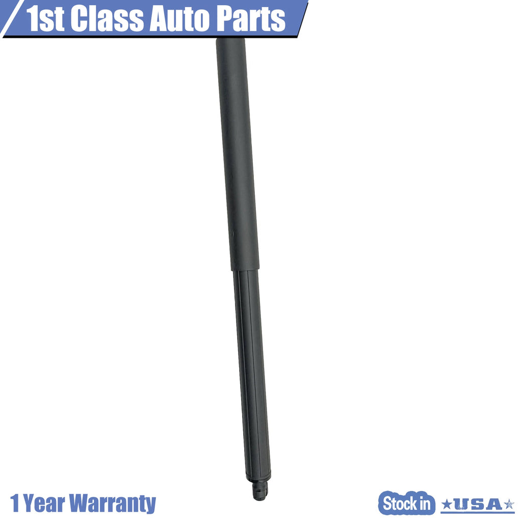 Lift Supports for Ford Edge (2015–2018) Rear Tailgate