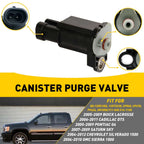 Purge Valve for Buick LaCrosse/Terraza (2005)
