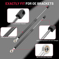 2X Rear Window Glass Lift Supports for Ford Explorer Sport 4.0L (2001–2002) 4608
