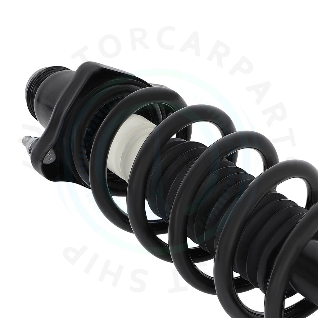 Set of 2 Rear Shocks Struts with Coil Spring for Dodge Journey (2009–2010)