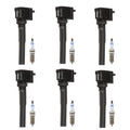 Set of 6 Ignition Coils & Spark Plugs for Ford Expedition F-150