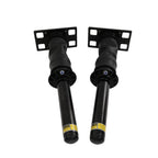 Set of 2 Shock Cab Air Struts for International Prostar (2008-2017)