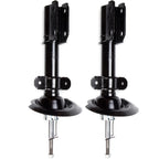 2X Rear Struts for Buick Allure, Chevy Impala, Pontiac (2004–2013)