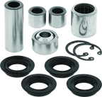 Lower A-Arm Kit for Kawasaki KFX700 (2004–2009)