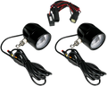 Fog Light for Custom Dynamics (PB-FOG-SS8-B)