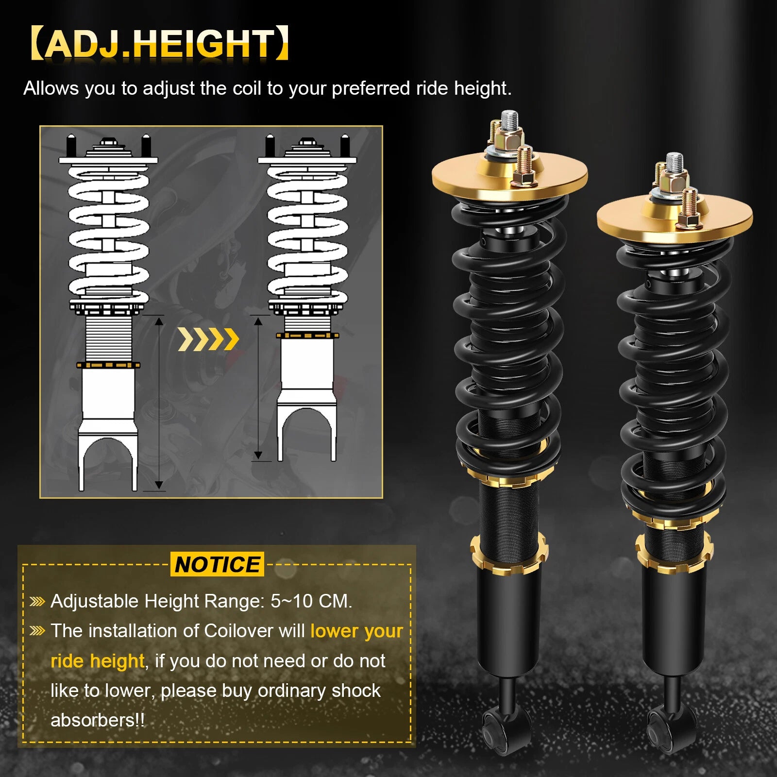 Coilover Shocks Struts for Honda Accord, Acura TSX (2003–2008)