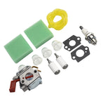 Carburetor Kit for Homelite B25C BC2500R D725CD D825SB F2020 F3040 F3050