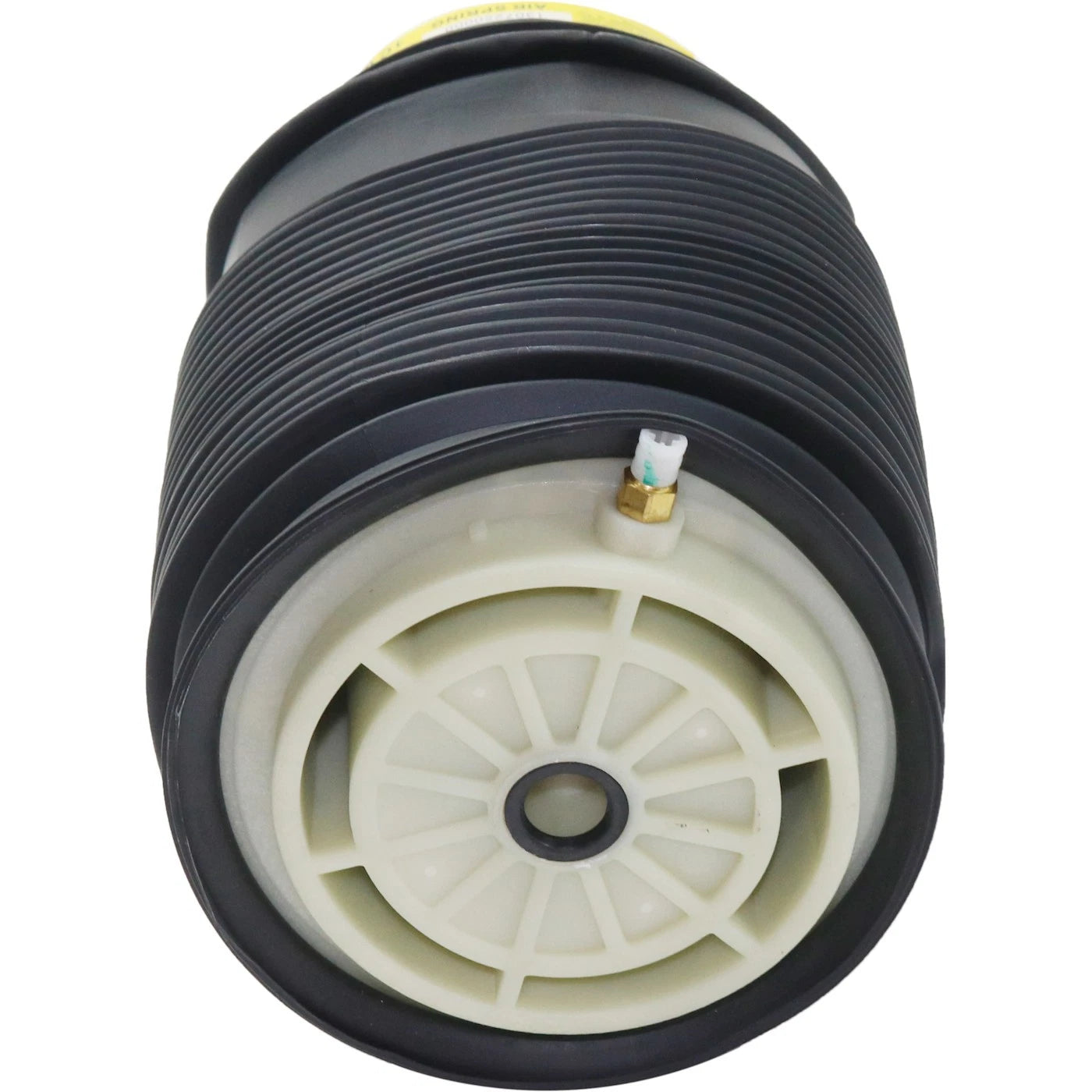 Air Spring Shock and Strut for Mercedes-Benz E-Class (2010–2016)