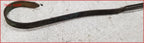 Engine Oil Dipstick for Pontiac Tempest 215 (1964)