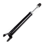 Rear Left & Right Pair Struts Gas Shocks for Nissan Maxima (2009–2018)