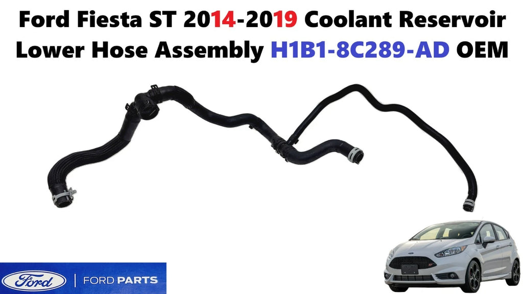 Coolant Reservoir Lower Hose Assembly for Ford Fiesta ST (2014–2019) H1B1-8C289-AD