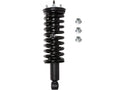 Front Strut and Coil Spring Assembly for Suzuki Equator (2009–2012) JZ926WV