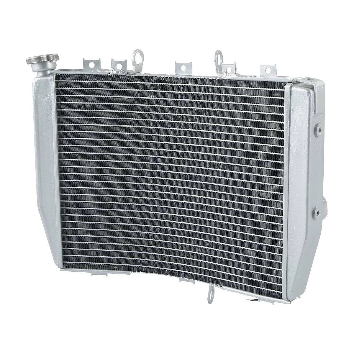 Radiator Cooler for Kawasaki Ninja ZX10R ZX1000C (2004–2005)