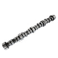 Camshaft 12625437 for GM Truck & Van (2007–2017) 4.8L & 5.3L