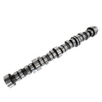 Camshaft 12625437 for GM Truck & Van (2007–2017) 4.8L & 5.3L