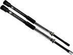 Front End Suspension for Dyna Wide Glide (2010–2017) - 49 mm