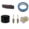 Tune-Up Kit for Briggs and Stratton Vanguard 12.5-21 HP (5119A, 5119B)