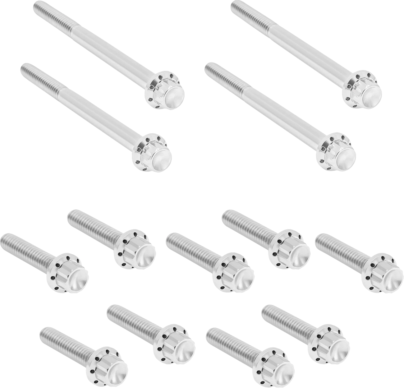 Bolt Kit for Harley Davidson Softail - Titanium 12-Point