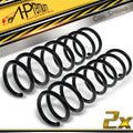 2X Rear Coil Springs for BMW E60 525i 530i 545i 550i (2004–2007)