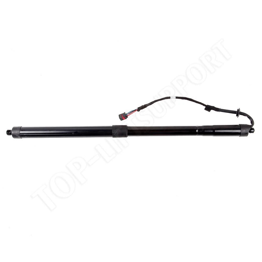 Lift Support for Range Rover Sport (2012–2013)