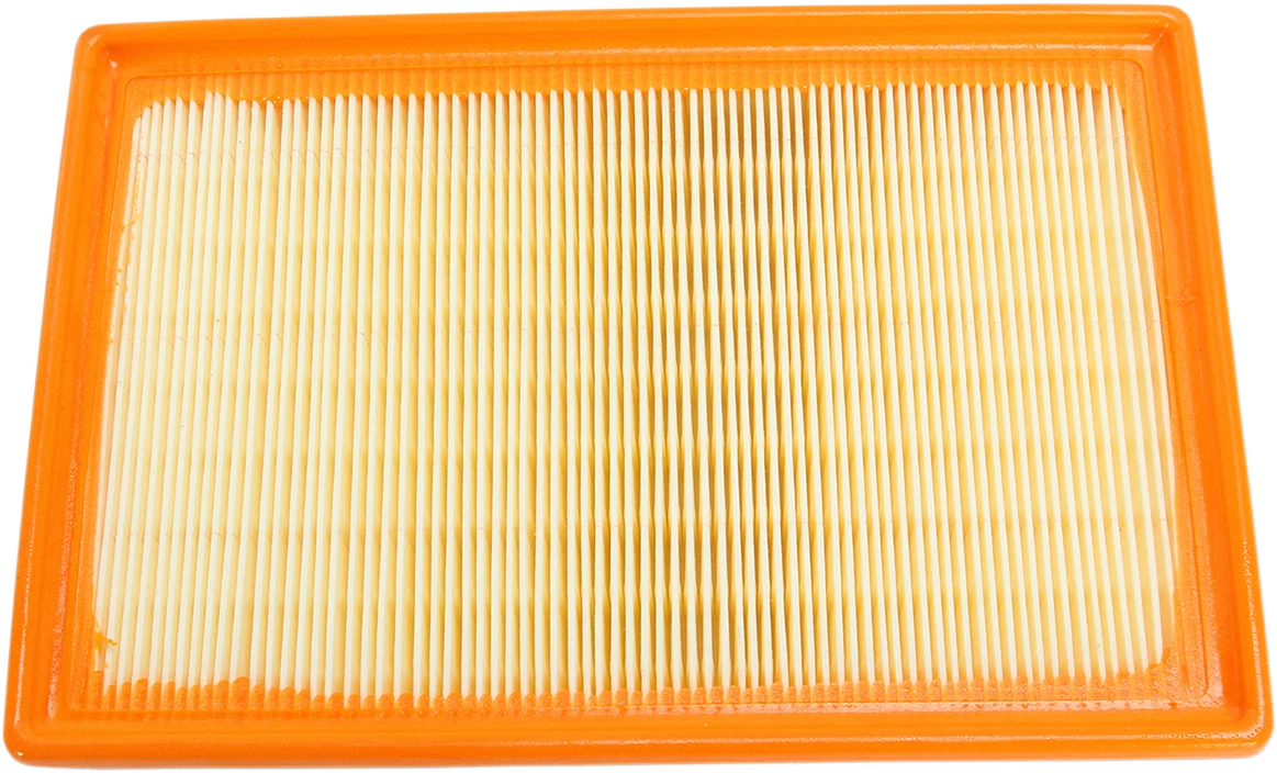 HIFLOFILTRO Air Filter for BMW (HFA7918)