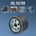 Set of 4 Oil Filters for BS