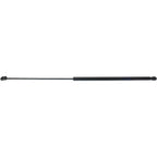 Set of 2 Lift Supports for Lexus ES350 (2007–2012)
