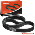 Serpentine Belt for Ford Explorer Police Interceptor (2013–2021)