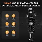 Rear Strut Spring & Shock Absorber Assembly for Toyota Corolla (2014–2019)