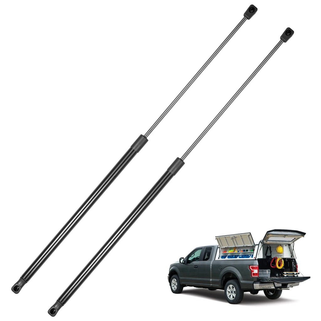 Lift Support for Lexus? (need clarify)