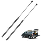 Lift Support for Lexus? (need clarify)