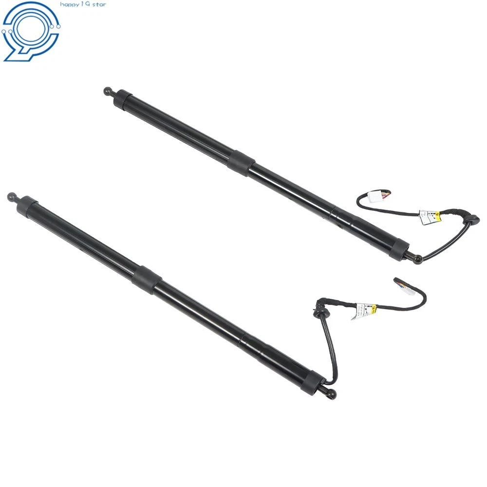 2Pcs Tailgate Liftgate Support Struts for Toyota Highlander (2014-2019)