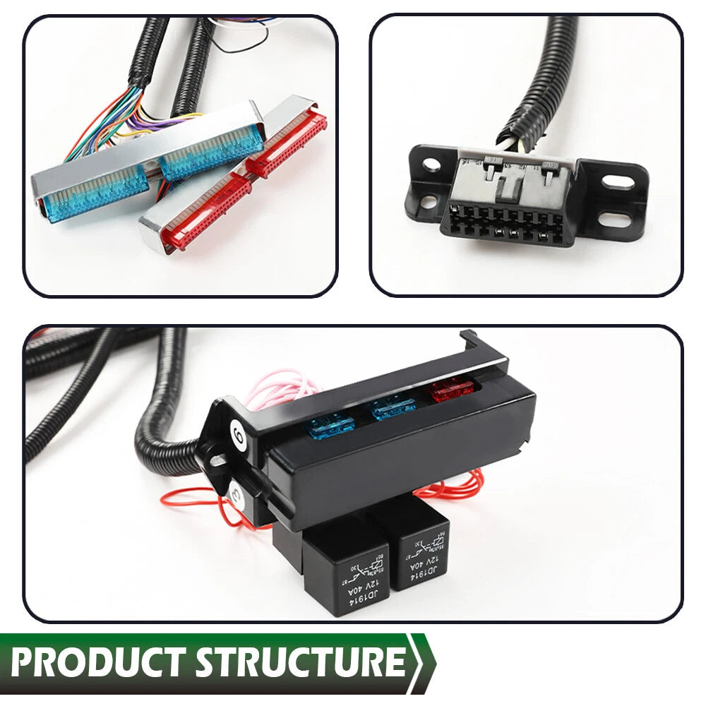 Standalone Wiring Harness for DBC LS1 T56 (1997–2006)