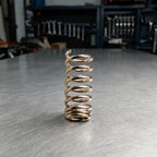 Fishing Reel Spring for Larissa Reel (Stainless Steel)
