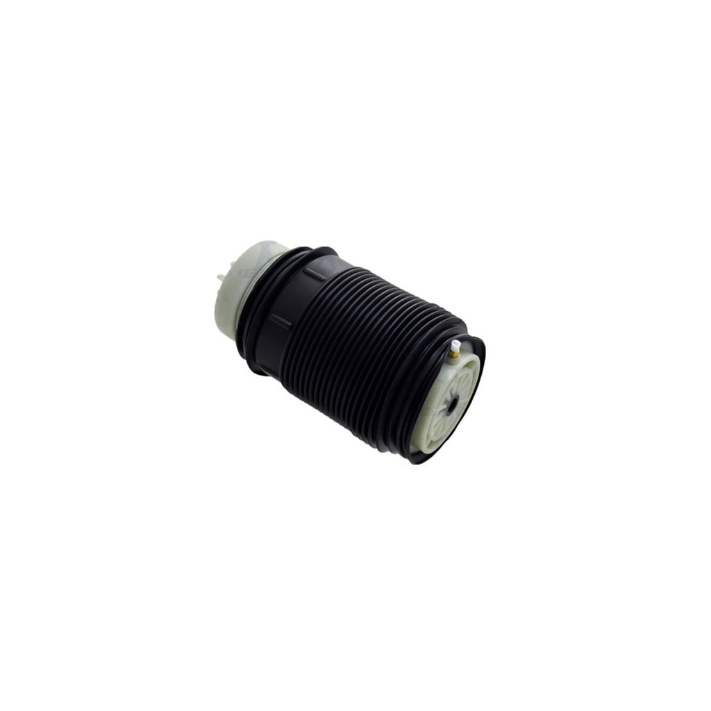 Air Spring Shock and Strut for Mercedes (Rear Right Side)