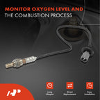 Upstream & Downstream O2 Oxygen Sensor for Toyota Camry & Lexus (1994-1995)